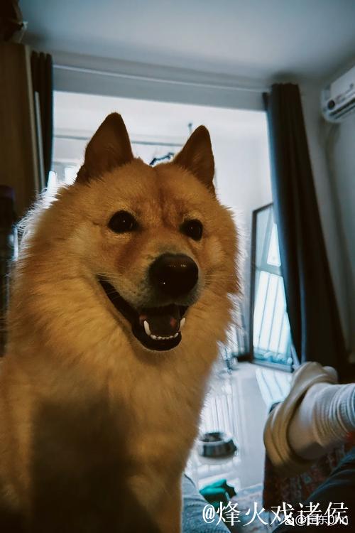 法比安:期待2025年成为非凡之年 法比安:期待2025年成为非凡之年